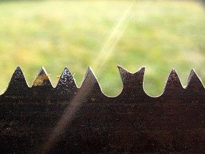 Website revamp to sharpen your saw