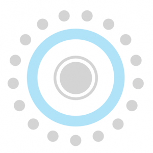 Small World Systems Logo